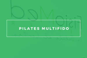 Pilates multifido